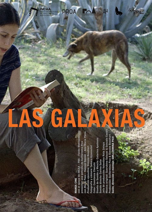 Las Galaxias (2024) poster