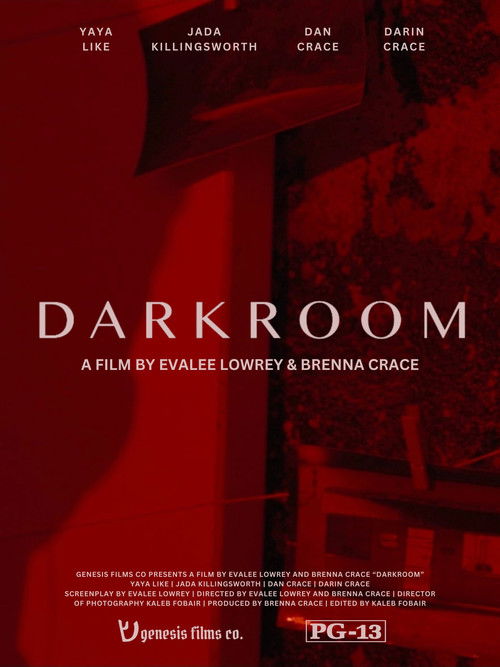 Darkroom (2024) poster
