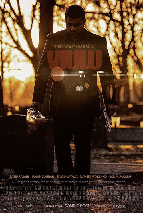 Splitted (2017) poster