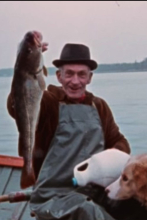 Two Brothers (1976) poster