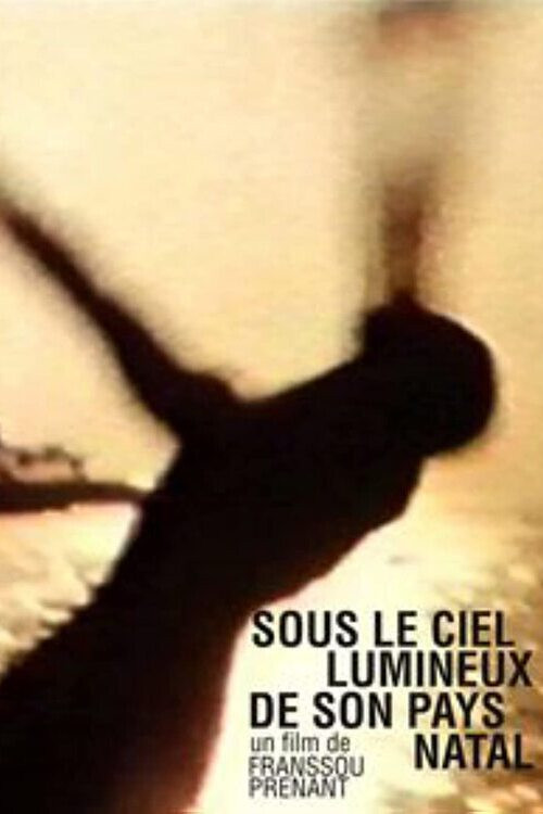Sous le ciel lumineux de son pays natal (2001) poster