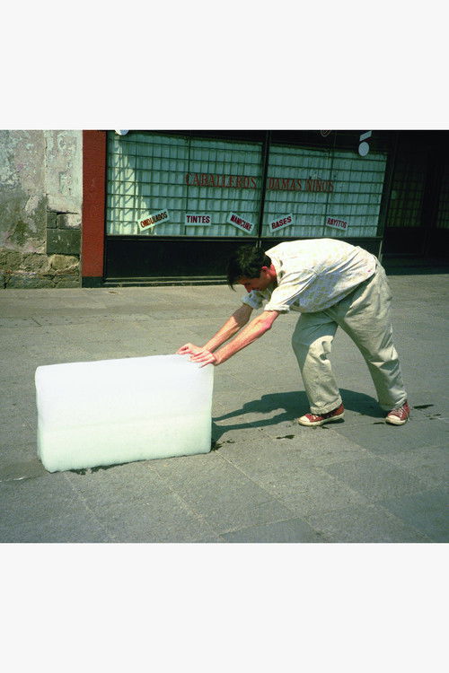 Paradox of Praxis 1 (1997) poster