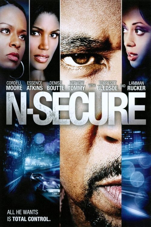 N-Secure (2010) poster