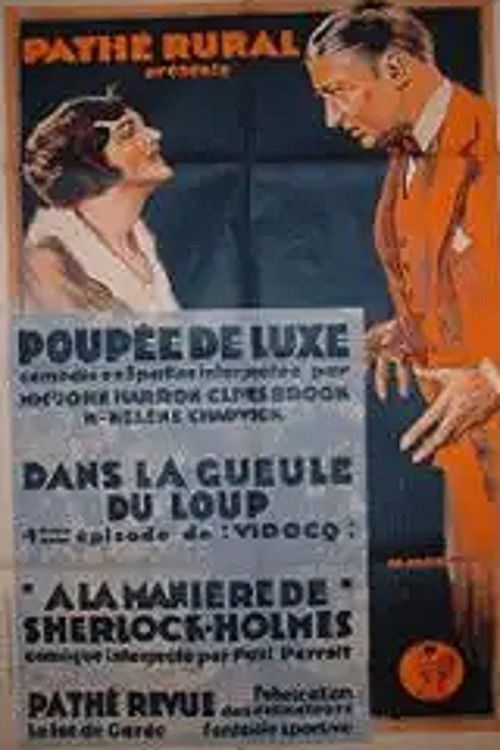 The Woman Hater (1925) poster
