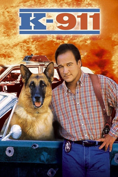 K-911 (2000) poster