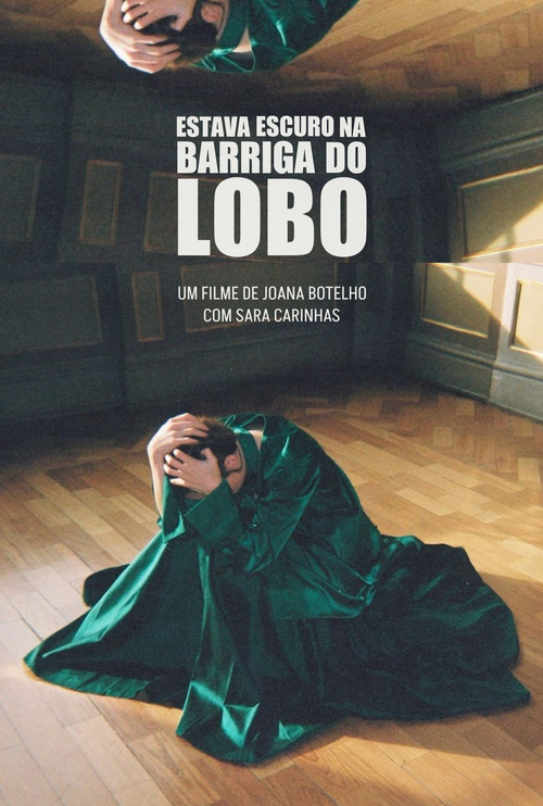 Estava Escuro na Barriga do Lobo (2025) poster