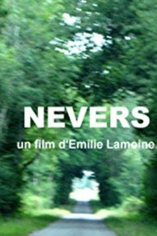 Nevers (2013) poster