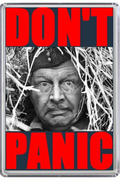 Don't Panic: The Dad's Army Story (2000) poster