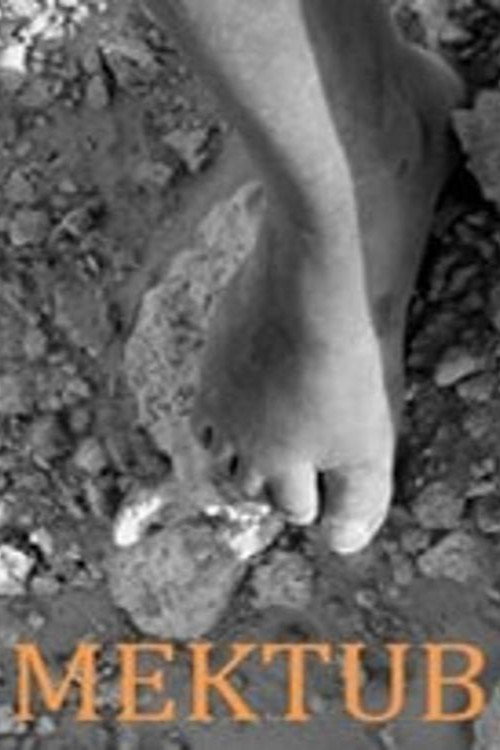 Mektub (2010) poster