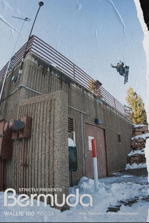 Bermuda (2020) poster