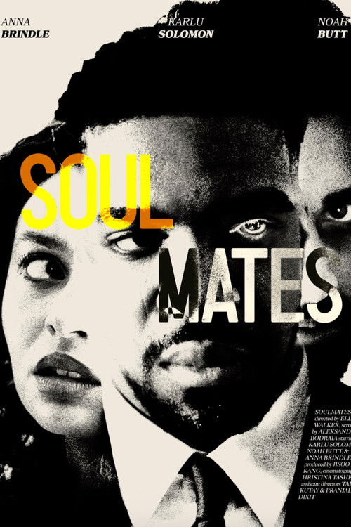 Soul Mates poster