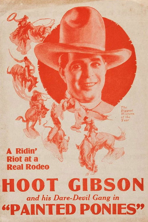 Painted Ponies (1927) poster