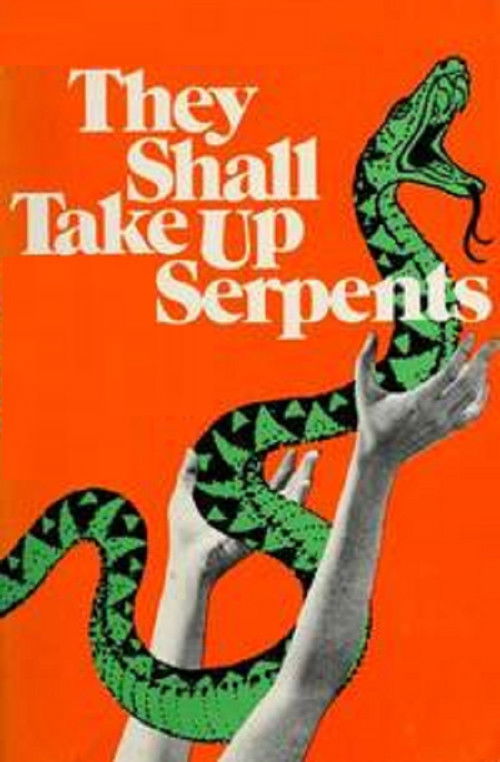 They Shall Take Up Serpents (1973) poster