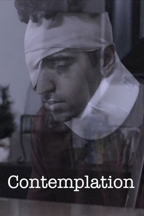 Contemplation (2025) poster