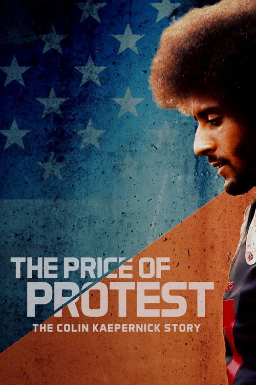 The Price of Protest (2019) poster