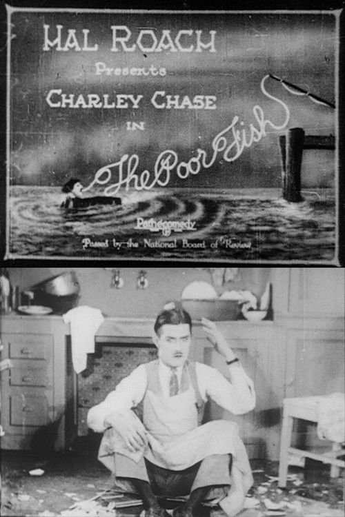 The Poor Fish (1924) poster
