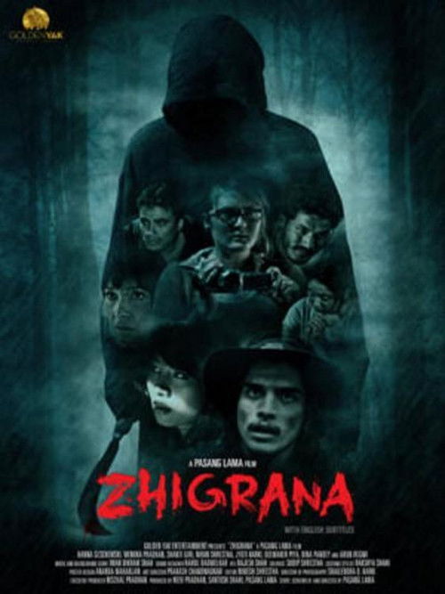 Zhigrana (2016) poster