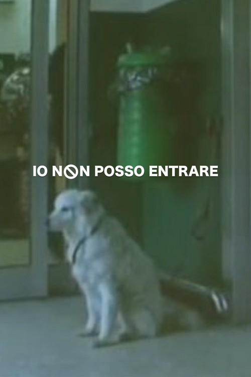Io non posso entrare (2002) poster