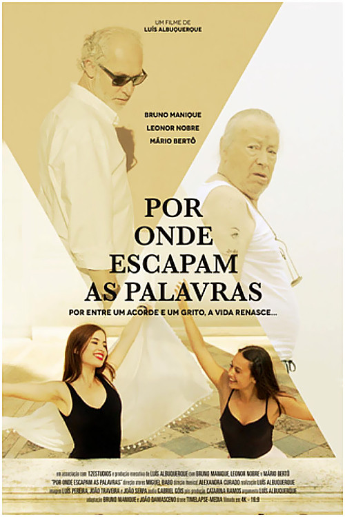 Por Onde Escapam as Palavras (2017) poster