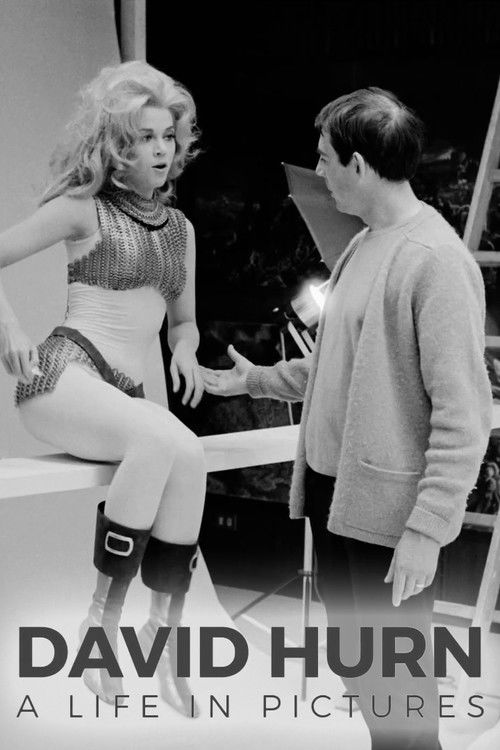 David Hurn: A Life in Pictures (2017) poster