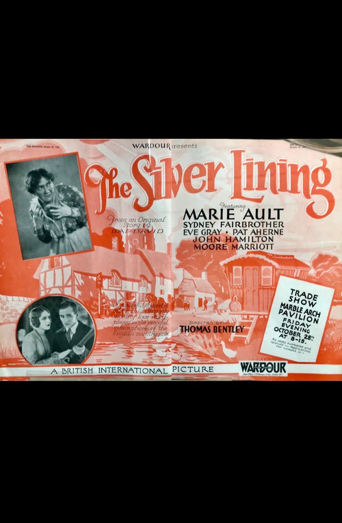 The Silver Lining (1928) poster