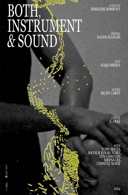 Both, Instrument & Sound (2023) poster