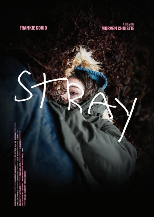 Stray (2025) poster