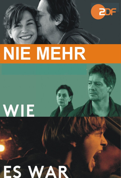 Nie mehr wie es war (2016) poster