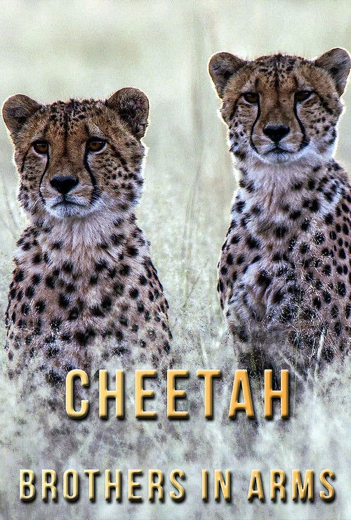 Cheetah Brothers in Arms (2020) poster