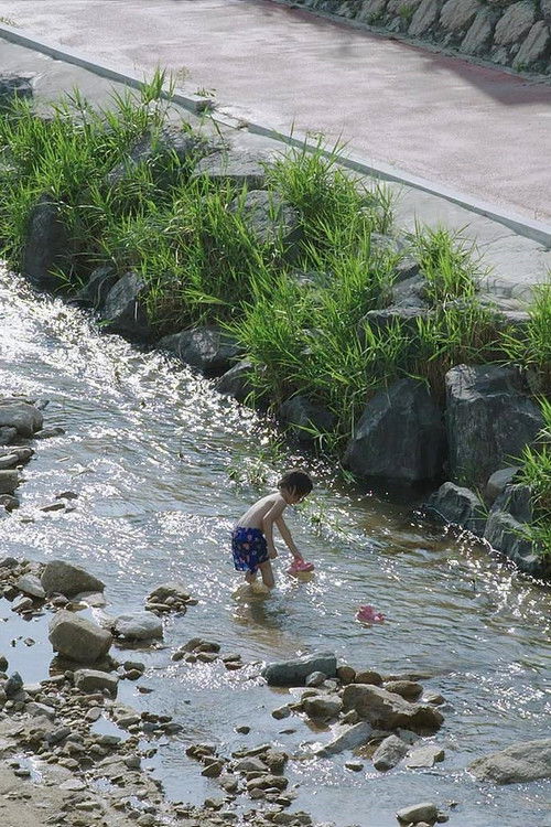 물고기 소년 (2023) poster