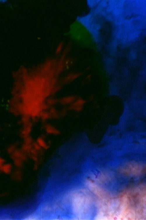 Black flag (2002) poster