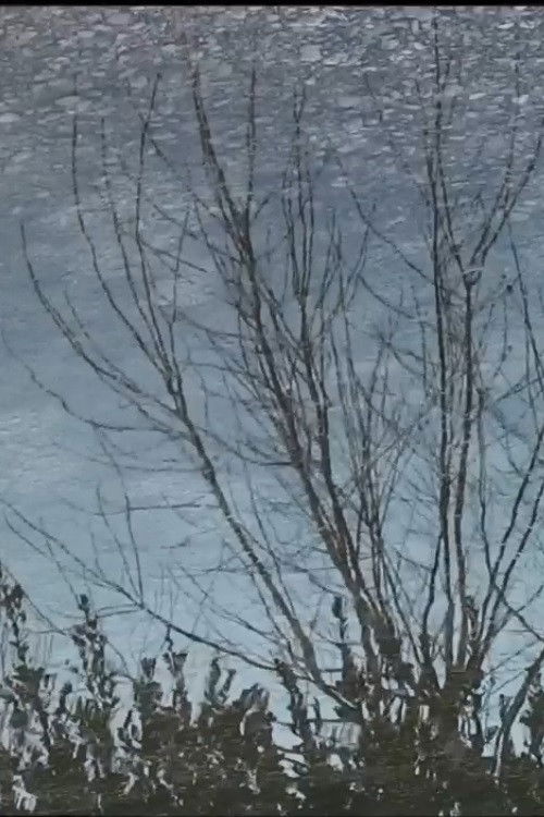 Sonetto (2020) poster