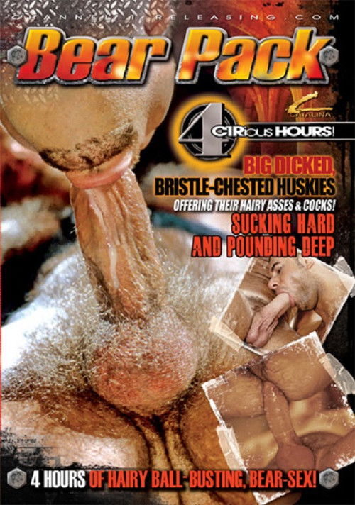 Bear Pack (2011) poster