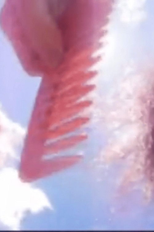 Frascos de perfume (2011) poster