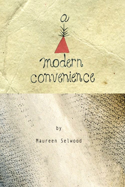 A Modern Convenience (2012) poster