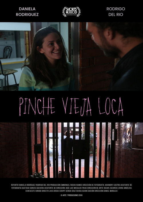 Pinche Vieja Loca (2014) poster