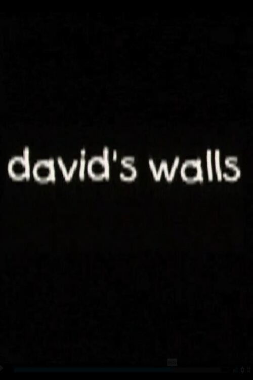 David's Walls (2001) poster