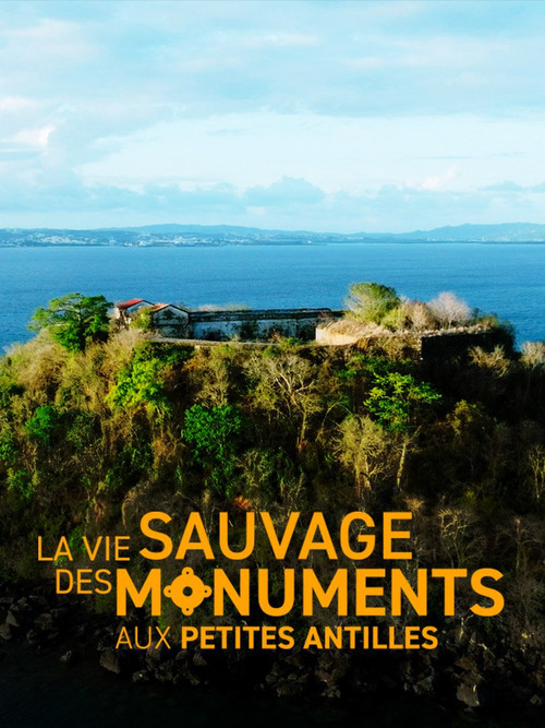 La vie sauvage des monuments aux Petites Antilles (2024) poster