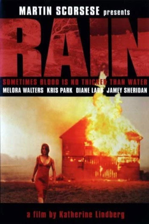 Rain (2001) poster