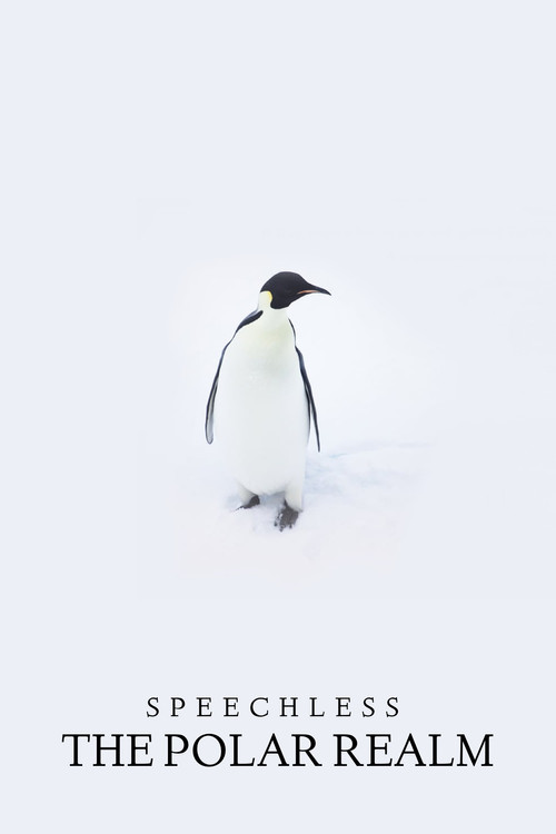 Speechless: The Polar Realm (2015) poster