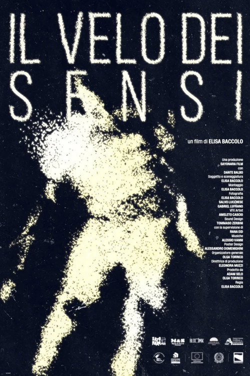 Il Velo dei Sensi (2026) poster