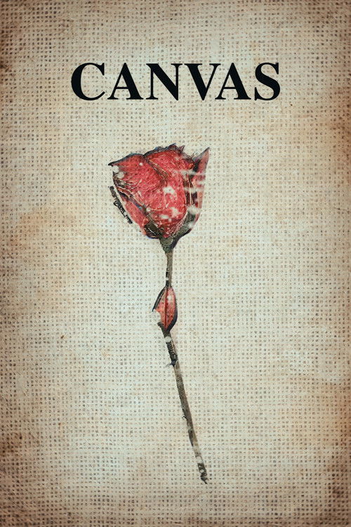 Canvas (2022) poster