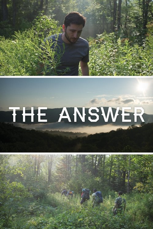The Answer (2015) poster