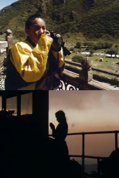 Karmapa - Two Ways of Divinity (1998) poster