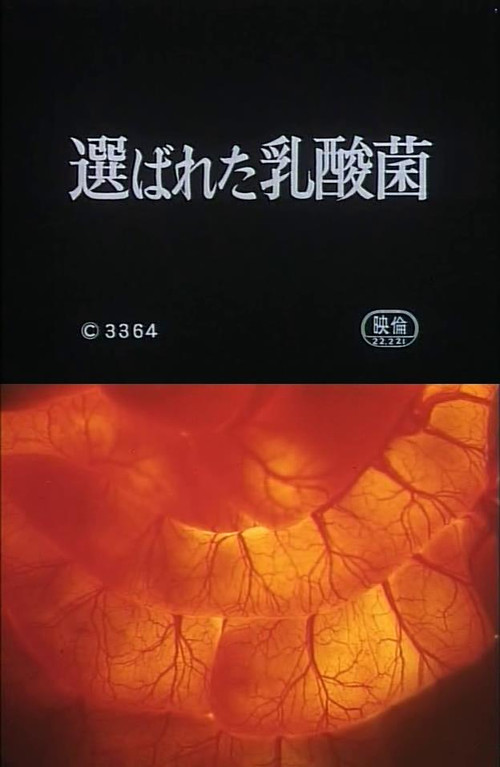 Selected Lactobacillus Strain Shirota (1965) poster