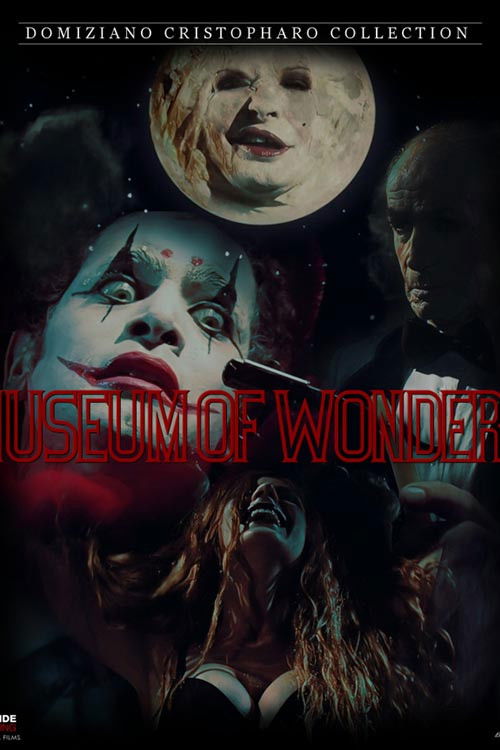 The Museum Of Wonders (2010) poster