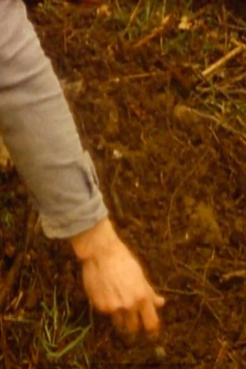 Tree of life (1983) poster