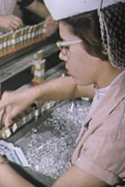 A Call to Action: the Freedom Budget of 1966 (2023) poster