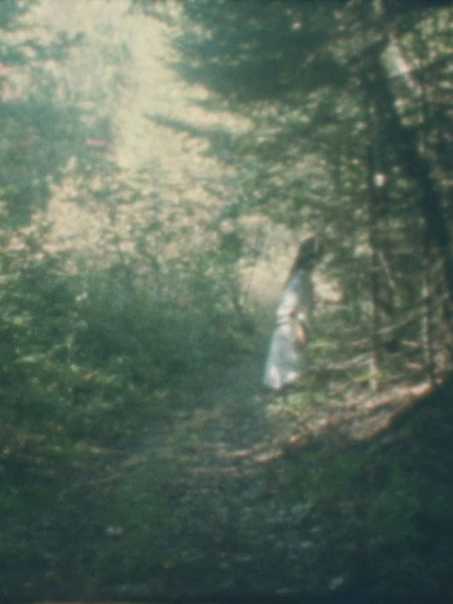Femme forêt (2026) poster