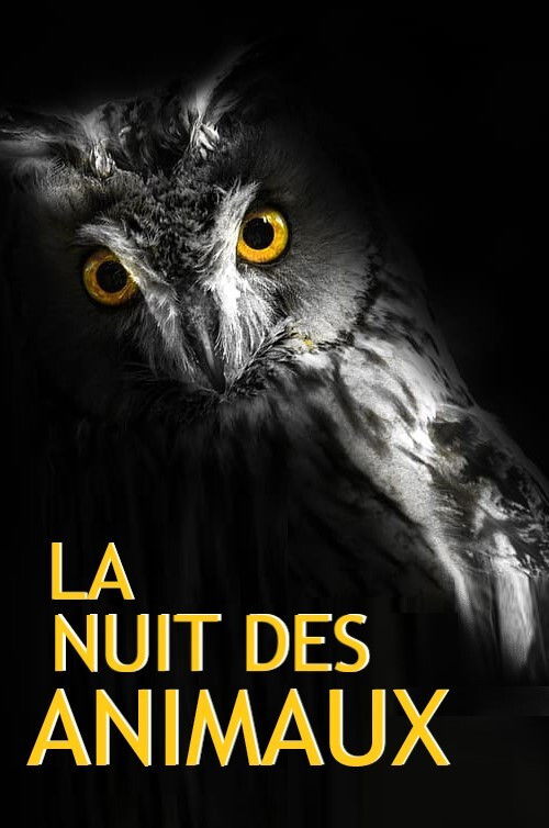 La Nuit des Animaux (2017) poster